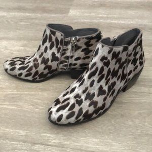 NWOT Sam Edelman Petty Grey Leopard Ankle Bootie